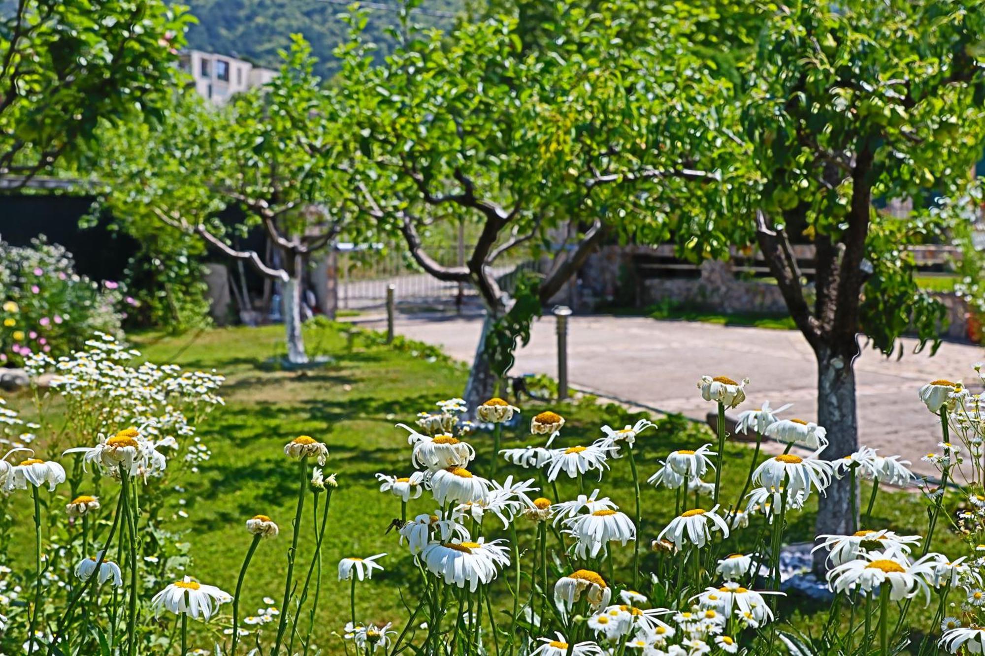 Holiday House Kubrat Sapareva Banja Eksteriør bilde
